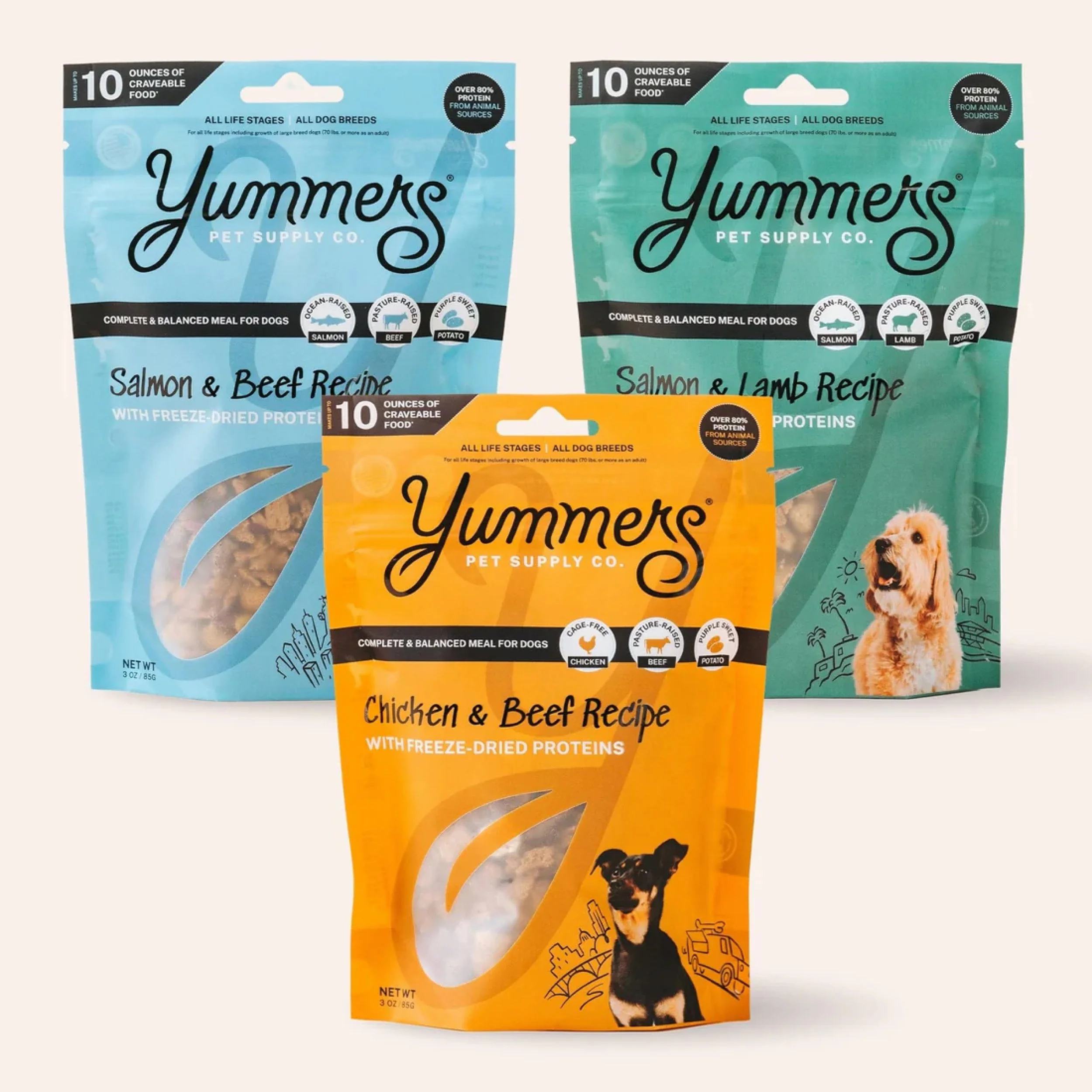 Dog Food Sampler Bundle | Yummers Pets — Hey Famm